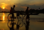 IIP Online Student Photography